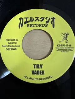TRY/VADER ALIVE / KENTY-G ジャパレゲ レコード