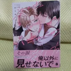 泣き虫ハニーの愛し方