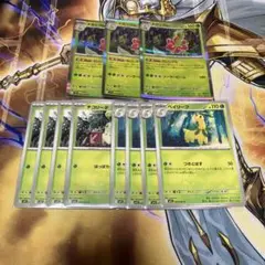 メガニウム　進化ラインセット