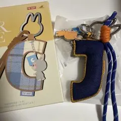 Item thumbnail for item 9411548c-fde9-4edf-acbd-22d5d5aabe64