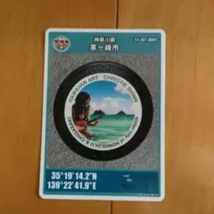 マンホールカード 道の駅 湘南ちがさき 神奈川県 限定
