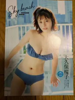 大久保桜子写真集 別冊ヤングチャンピオン11月号別冊付録ビキニのキュウレンジャー