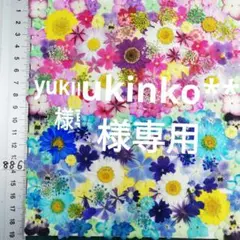 押し花素材　NO886 他1ノースボール 紫陽花　バーベナ 小花　押し花