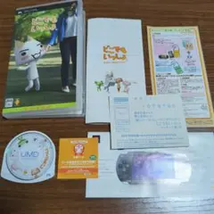 【完美品】PSP どこでもいっしょ
