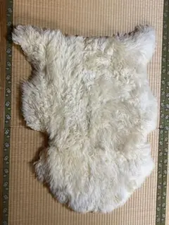 Item thumbnail for item e658f8ea-5e58-4f36-baaa-cefe5a639472