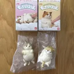 もっちりころりん ねこ 2種セット [新品未開封]