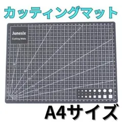 Item thumbnail for item 58b044bf-aad1-491f-abde-c1567fd7eee0