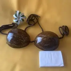 ココブラ　ツヤあり　中古品　大きめサイズ　ナチュラル