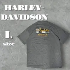 美品US限定HARLEY-DAVIDSONTシャツ バックロゴA20