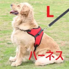 犬 ハーネス Lサイズ レッド