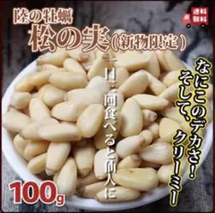 Item thumbnail for item e06f3f2c-1f21-4103-b458-9b5a03815363
