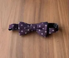 Item thumbnail for item 3d11c539-9bbc-48b2-987d-83ff2c49a25a