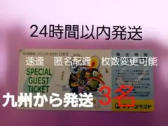 株主優待 北海道グリーンランド 三井グリーンランド グリーンランド入場券3