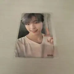 seventeen ディノ　トレカ