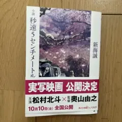 小説 秒速5センチメートル