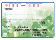 宛名シール 48枚 大きめサイズ 若葉