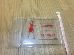 田中真美子さん　アクリルスタンド