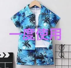 Item thumbnail for item c761de5c-5841-46e7-80fe-84b7926c7ac7