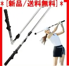 ゴルフエイド スイング練習スティック ゴルフ練習器具U24