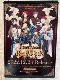 VISUAL PRISON ヴィジュアルプリズン 非売品 販促用 ポスター