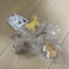 いい感じの棒をゲットした犬　ダックス　柴　ゴールデン