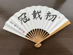 Item thumbnail for item 26efc6cd-c93b-426d-8419-d7a29c6cb732