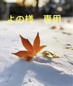 専用