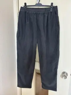 Item thumbnail for item 4f20ee17-1924-4b28-bd33-0bc7933e6dfd