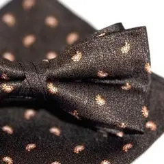 Item thumbnail for item 7941ced0-9f35-46dc-94a1-72d8fdbe7908