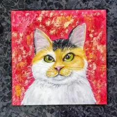 チョークアート＊夜中にご飯を催促しに来る不機嫌な三毛猫ちゃん＊原画