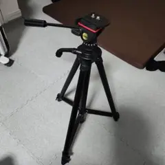 Item thumbnail for item c573bfd3-9c22-4a71-8e46-66abd8a16ddd