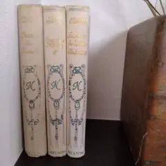2025年最新】ネルソン 洋書 フランスアンティークの人気アイテム