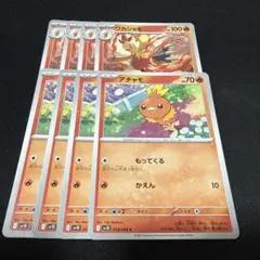 ポケモンカード　アチャモ　ワカシャモ　各4枚