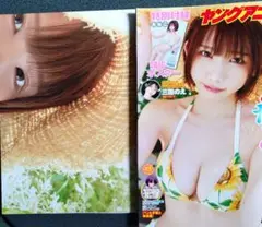 えなこ ヤングアニマル 2025年 16号 三田のえ