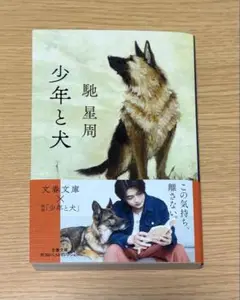 少年と犬