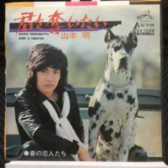 山本 明　EPレコード　君を奪いたい／春の恋人たち　プロモ盤