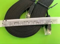 LANケーブル 5m フラット その②