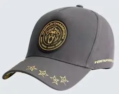 帽子/キャップ『F1 ワールドチャンピオン 4連覇 フェルスタッペン』新品