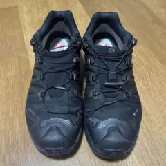 サロモン xa pro 3d v8 gtx