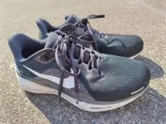 Nike ペガサス 41 ワイド FN4932-002　25㌢　箱付き