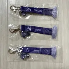 サンフレッチェ広島 ミニマフラーキーホルダーセット