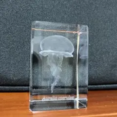 クラゲ　アクリルキューブ