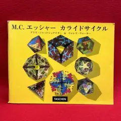 エッシャー不思議パズル 2点 shmuzzle puzzle カライドサイクル エッシャー不思議パズル 2点 shmuzzle puzzle カライドサイクル