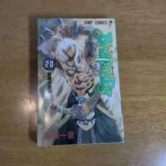 バスタード!! 20巻