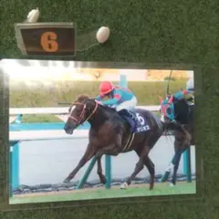 サリオス　朝日杯フューチュリティステークス　優勝レース写真　オマケ付き　値下げ