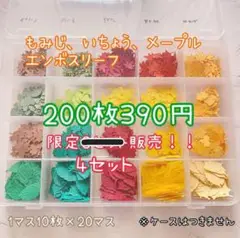 【限定販売②-4】クラフトパンチ　秋の葉っぱ　もみじ　いちょうなど　アルバム