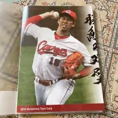 広島東洋カープ　ポスター　5枚