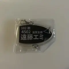 Item thumbnail for item f2789ada-228e-49b3-b468-b1da1fe62fbb