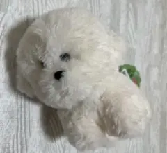 さみしがりやのビションフリーゼ　　ぬいぐるみ　　おすわりポーズ