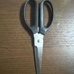 Item thumbnail for item 3e482504-40a3-4cf0-8456-6e78fc233142